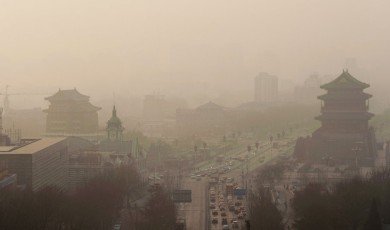 Urban ecology in China: Historical developments and future directions