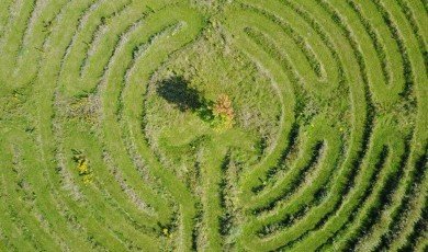 How Everything on Earth Is Connected